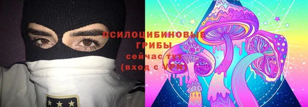 стафф Медногорск